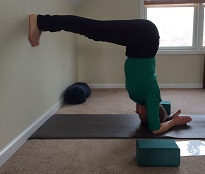 Bhavani in Forearm Stand